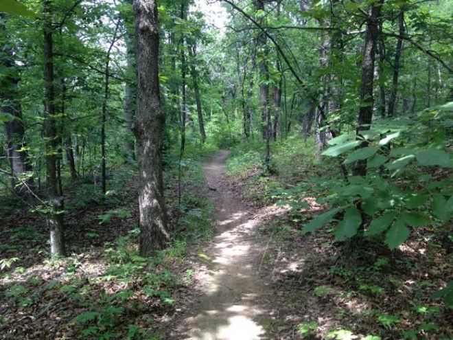 One of the trails at Turkey Mountain. Enjoying time outside and in nature is growing in its appeal for Tulsa residents, part of the reason why opposition to an outlet mall on the western edge of Turkey Mountain drew so much opposition.
